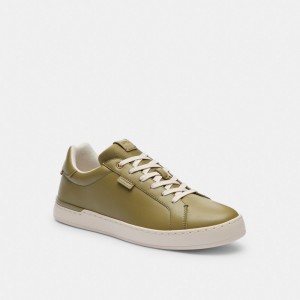 Basket Coach Lowline Low Top Sneaker Homme Multicolore | LHWYMIE-83