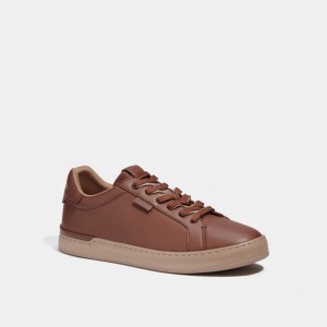 Basket Coach Lowline Low Top Sneaker Homme Multicolore | SKLPEXW-60