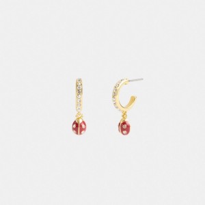 Bijoux Coach Garden Ladybug Drop Earrings Femme Doré Multicolore | LOSDRPU-91