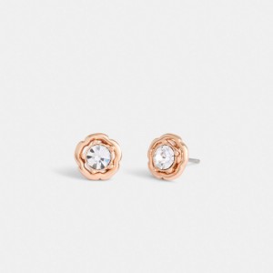 Bijoux Coach Halo Tea Rose Stud Earrings Femme Rose Doré | WCYNISX-23
