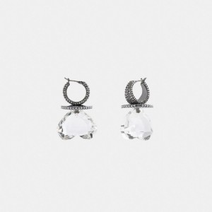 Bijoux Coach Heart Gemstone Earrings Femme Argent | ISMFCAW-01