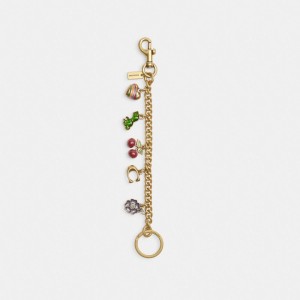 Bijoux Coach Motif Chain Bag Charm Femme Multicolore | PRBWXYE-97