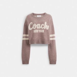 Hauts Coach Cropped Sweater Femme Rose | KPNWBCM-75