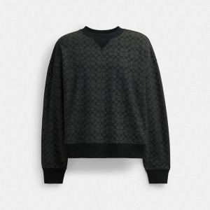 Hauts Coach Essential Signature Crewneck Homme Grise | UAYRLSI-78