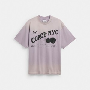 Hauts Coach Signature Apple T Shirt Homme Violette | EPBKOVM-76