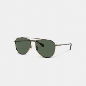 Lunette de Soleil Coach Metal Windsor Pilot Sunglasses Homme Doré | EITSUKL-87