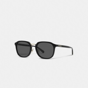 Lunette de Soleil Coach Rounded Geometric Sunglasses Homme Noir | EVPQHFR-58