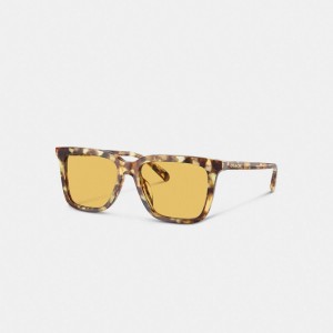 Lunette de Soleil Coach Signature Square Sunglasses Homme Orange | DSFHAVI-96
