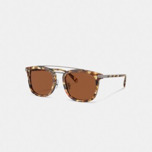 Lunette de Soleil Coach Wrap Around Hangtag Browbar Sunglasses Homme Orange | GPEWCBR-31
