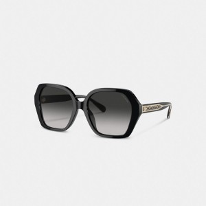 Lunettes Coach Signature Ombre Geometric Square Sunglasses Femme Grise | GCMIEDA-43