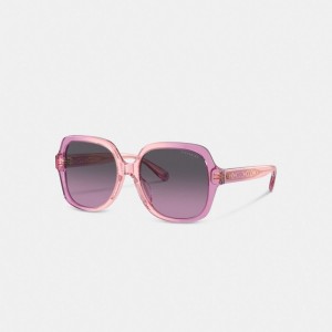 Lunettes Coach Signature Ombre Oversized Square Sunglasses Femme Rose Violette | UDRKPZA-92
