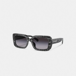 Lunettes Coach Signature Oversized Rectangle Sunglasses Femme Argent | ACKMTWS-86