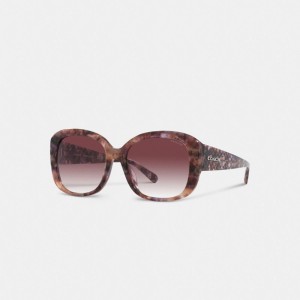 Lunettes Coach Signature Oversized Square Sunglasses Femme Violette | ZPCLXVA-09