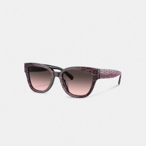 Lunettes Coach Signature Round Sunglasses Femme Multicolore | EPFGVBO-56