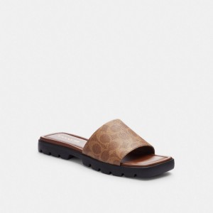 Sandale Coach Florence Sandal In Signature Canvas Femme Kaki Noir | IOPJBGD-30