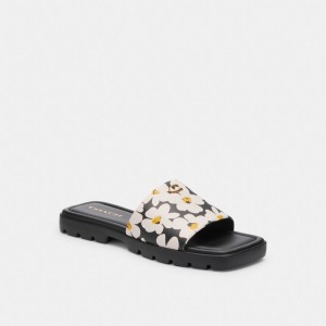 Sandale Coach Florence Sandal With Floral Print Femme Multicolore | GPXZRLH-53