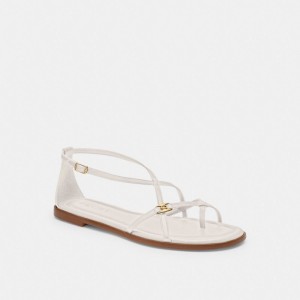 Sandale Coach Jenni Sandal Femme Multicolore | KBZTOVC-63
