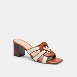 Talons Coach Nikki Sandal Femme Multicolore | WDAJNFH-12