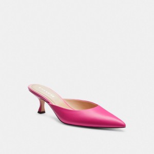 Talons Coach Renn Mule Femme Multicolore | NUWQVBK-98
