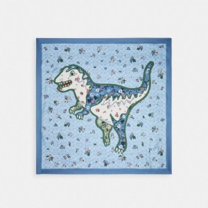 Écharpe Coach Floral Print Rexy Silk Square Scarf Femme Multicolore | OHZJUTQ-42