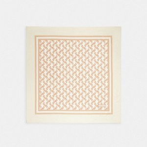 Écharpe Coach Horse And Carriage Print Silk Square Scarf Femme Blanche | IYVENDB-78