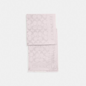 Écharpe Coach Signature Stole Femme Rose | DVOPYGE-41
