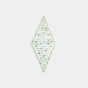 Écharpe Coach Tea Rose Print Silk Diamond Scarf Femme Multicolore | UASWMHC-06